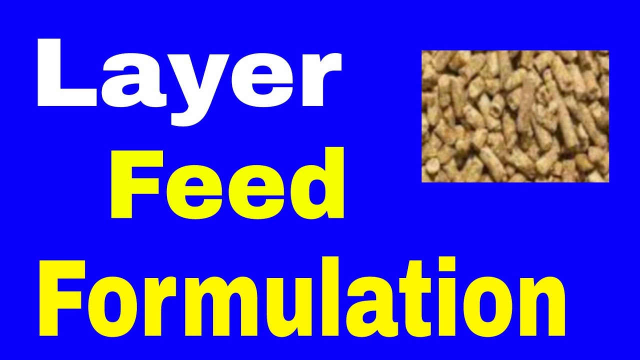 poultry feed formulation software